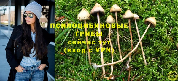 метадон Армянск