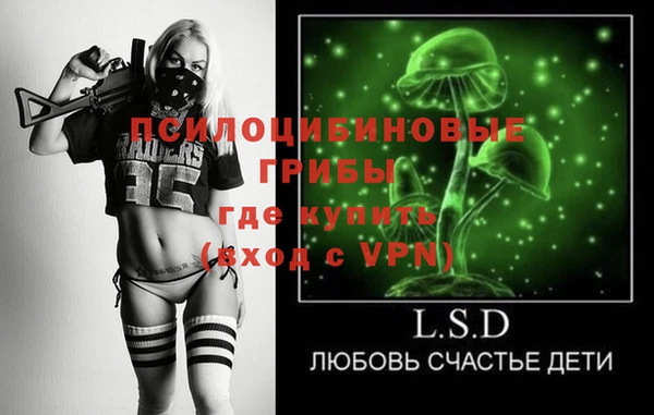 spice Арсеньев