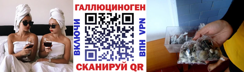 Псилоцибиновые грибы Cubensis купить наркотики цена Сафоново